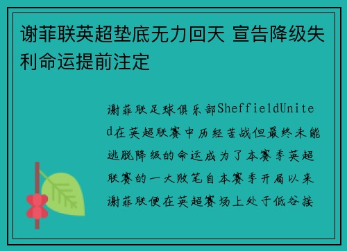 谢菲联英超垫底无力回天 宣告降级失利命运提前注定